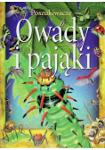 Owady i pająki