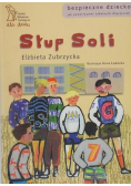 Słup soli