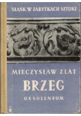 Śląsk w zabytkach sztuki. Brzeg