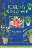 Rośliny pokojowe