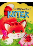 Ciekawski kotek