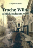 Trochę wilna z mickiewiczem w tle