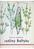 Rośliny Bałtyku