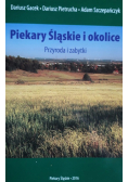 Piekary Śląskie i okolice