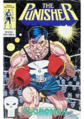 The Punisher Nr 5 / 91