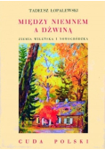 Między Niemnem a Dźwiną Ziemia Wileńska i Nowogródzka