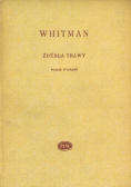 Źdźbła trawy