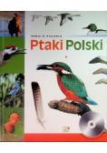 Ptaki Polski