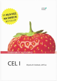 Cel I  Doskonałość w produkcji