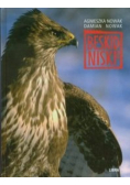 Beskid Niski