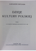Dzieje kultury polskiej od czasów przedhistorycznych do r. 1506 Tom I