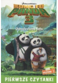 Pierwsze czytanki Kung Fu Panda 3 Odnaleziony tato Poziom 3
