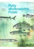 Ryby słodkowodne Polski