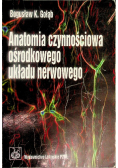 Anatomia czynnościowa ośrodkowego układy nerwowego