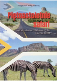 Piętnastoletnie safari