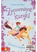 Zaczarowane kucyki Tom 4 Księżniczka Kucyków