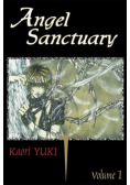 Angel Sanctuary Tom 1