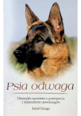 Psia odwaga