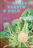 Uprawa Warzyw w Polu