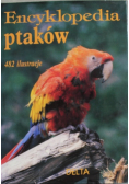 Encyklopedia ptaków