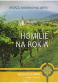 Homilie na rok A