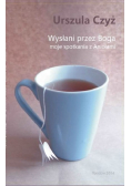 Wysłani przez Boga. moje spotkania z aniołami