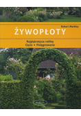 Żywopłoty