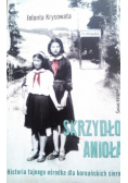 Skrzydło Anioła Dedykacja autora