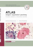 Atlas stopni czystości pochwy