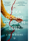 Rzeka odchodzących dusz
