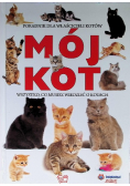 Mój kot