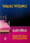 Kartoteka