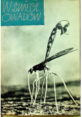 W świecie owadów