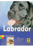 Labrador Poradnik opiekuna