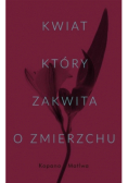 Kwiat, który zakwita o zmierzchu