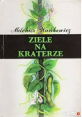 Ziele na kraterze