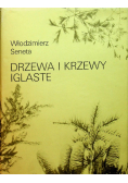 Drzewa i krzewy iglaste