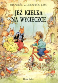 Jeż igiełka na wycieczce
