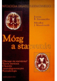 Mózg a starzenie