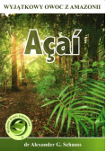 Acai Cudowny owoc z Amazonii