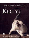 Koty