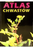 Podręczny atlas chwastów