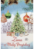 Zima w Małej Przytulnej
