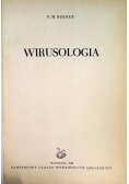Wirusologia
