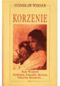 Korzenie