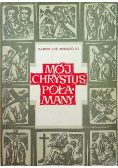 Mój Chrystus Połamany