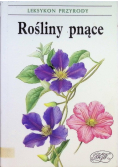 Rośliny pnące leksykon przyrody
