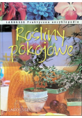 Rośliny pokojowe