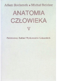 Anatomia człowieka Tom V