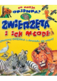 Zwierzęta i ich młode Co kryją okienka